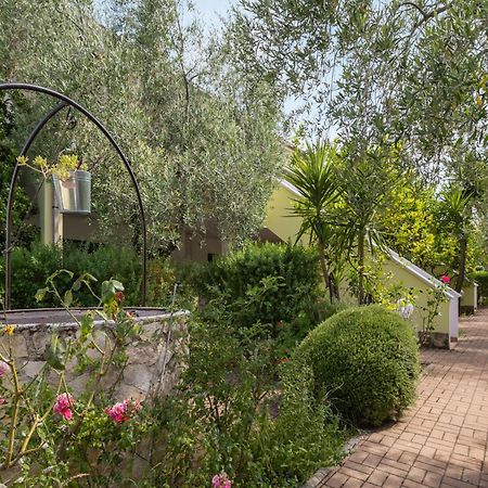Residence Villa Le Macine Βιέστε Εξωτερικό φωτογραφία